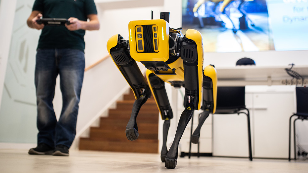 Cão-robô americano definido para a Ucrânia – mídia — RT World News
