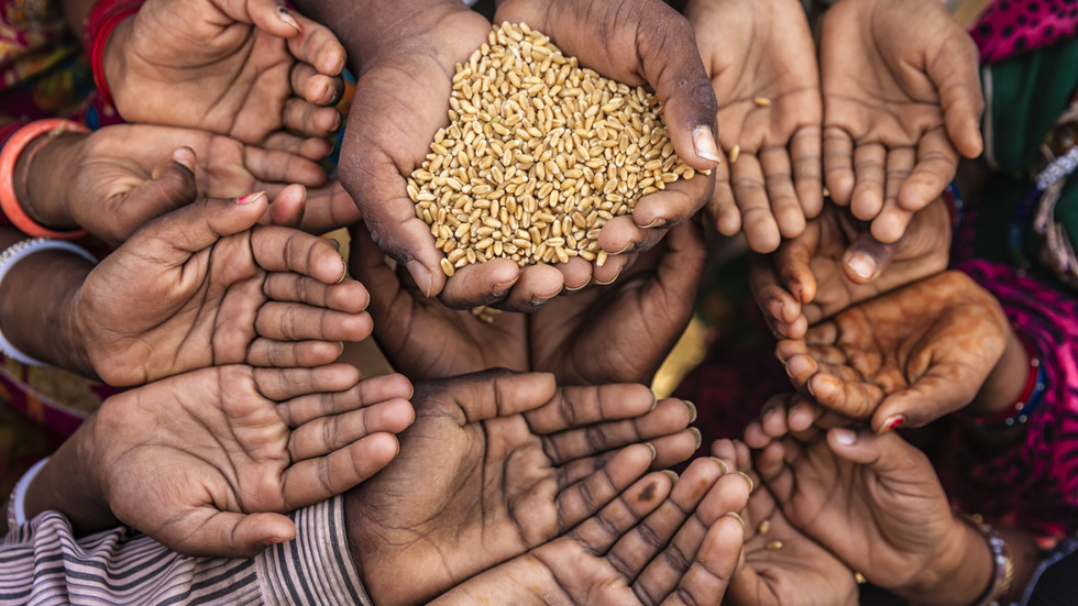 Oxfam condena G7 por ‘deixar milhões de pessoas passando fome’ — RT World News