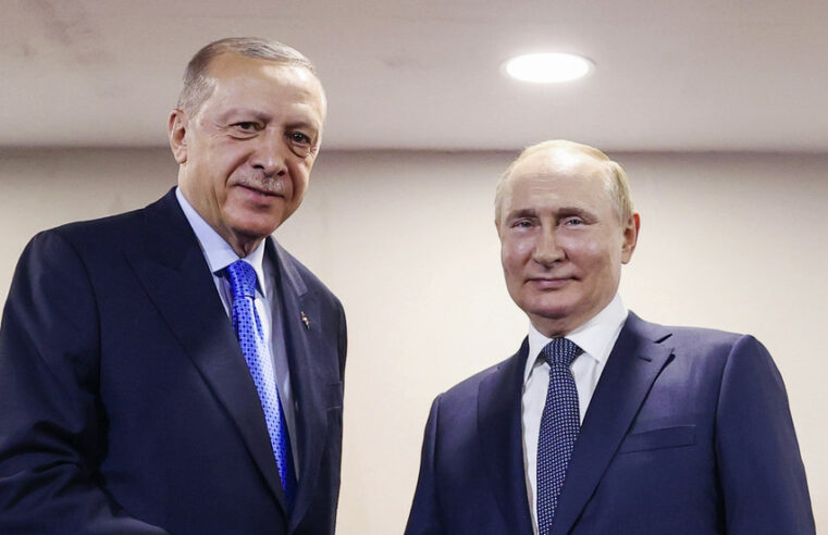 Erdogan explica Putin ao Ocidente — RT World News