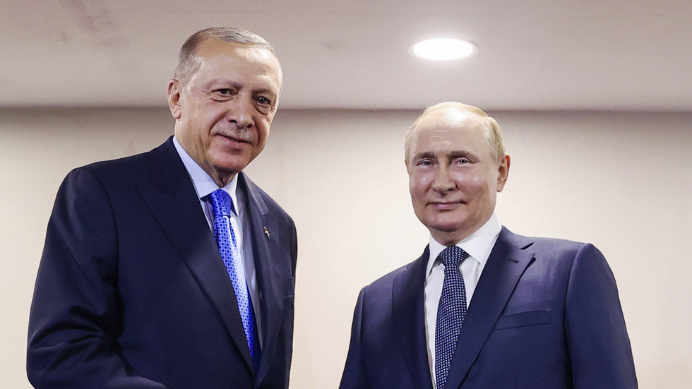 Erdogan explica Putin ao Ocidente — RT World News