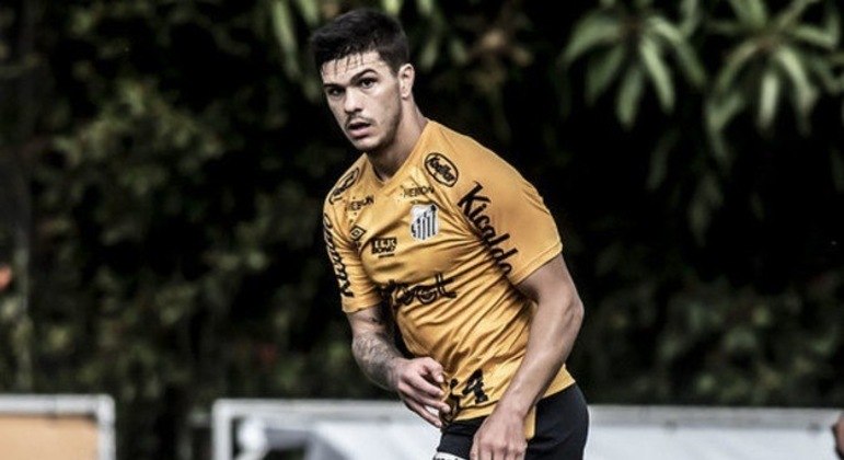 Santos recebe Botafogo com missão de espantar o perigo no Brasileiro – Esportes