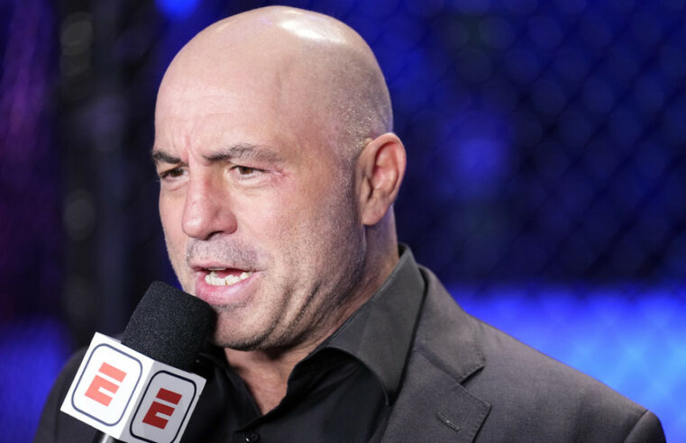 Joe Rogan revela ‘lição’ da pandemia — RT World News