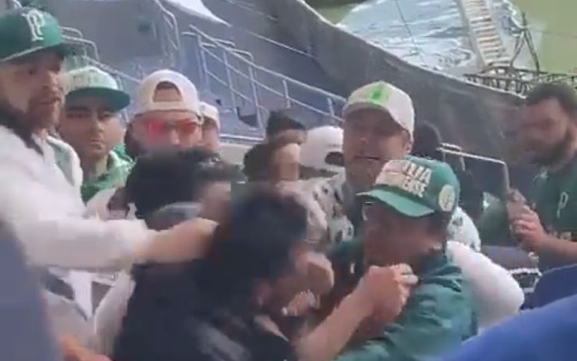 Flamenguista solitário é agredido por torcedores do Palmeiras na arquibancada do Allianz Parque – Flamengo – Notícias e jogo do Flamengo