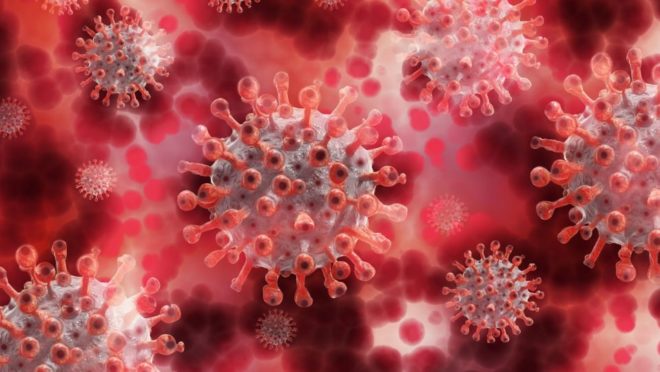 Remédio para esclerose destrói vírus da Covid-19 em pesquisa da USP