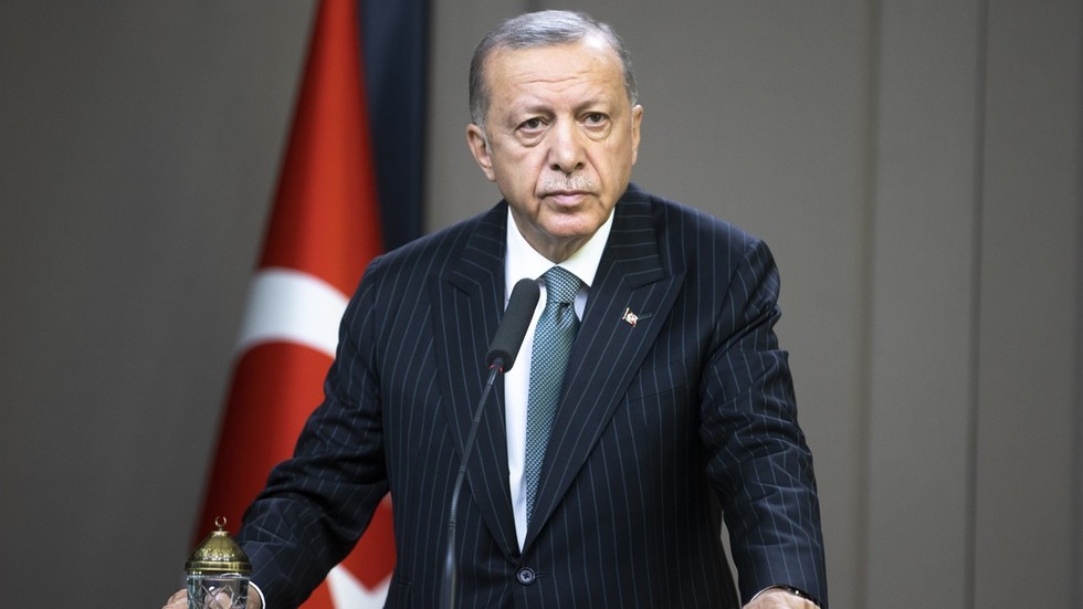 A própria Europa tem culpa pela crise do gás – Erdogan – RT World News