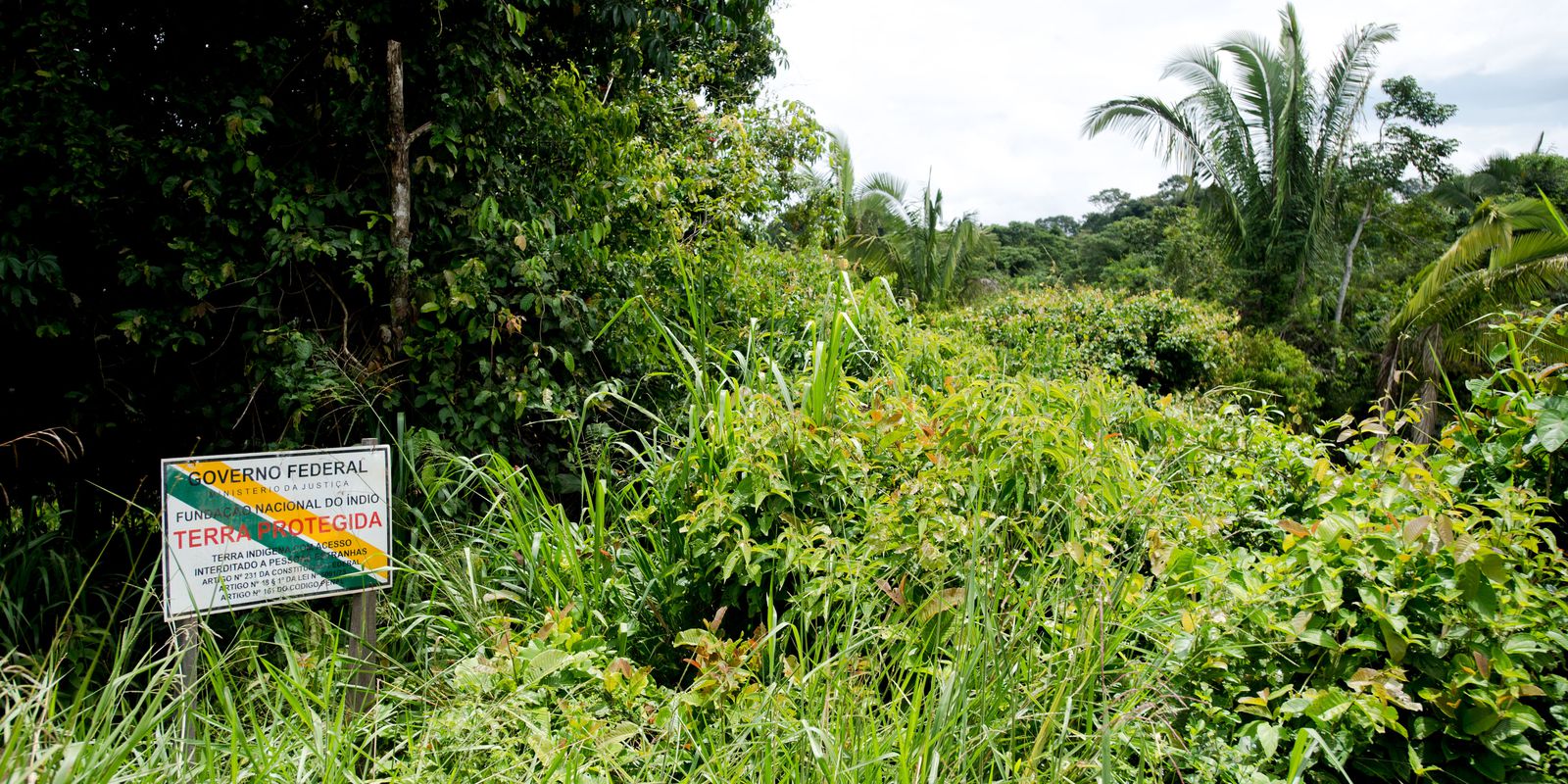 BNDES avalia concessão ambiental com pagamento para conservação