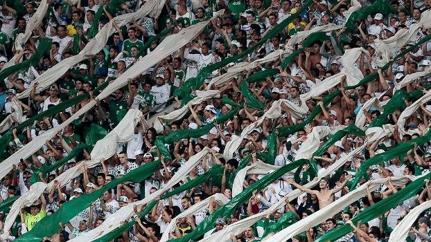 Cambista perdem a noção e cobram R$ 860 por ingressos para Palmeiras x Athletico