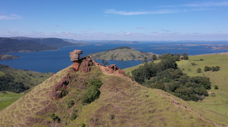 Riquezas da Nossa Terra: A goiaba que ganhou o mundo