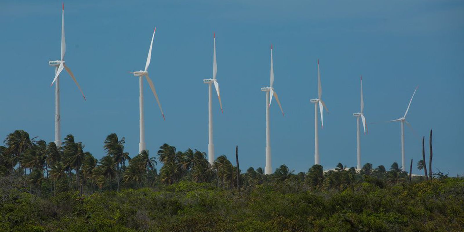 Agência Brasil explica o que é hidrogênio verde