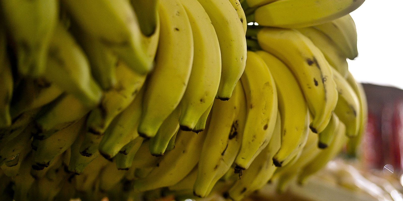 Conab: menor oferta eleva preços de hortaliças e frutas em setembro