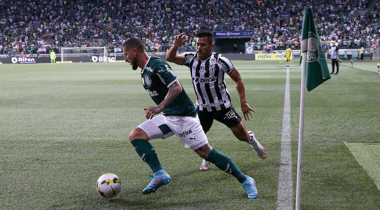 Em 6 meses de Brasileirão, Palmeiras só tem duas derrotas – Esportes