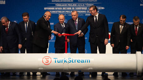 Erdogan apoia ideia de Putin de centro de gás