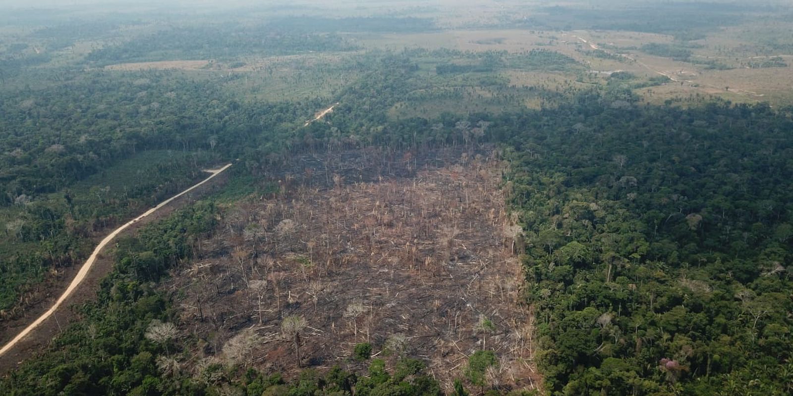 Pastagem com manejo e área agrícola avançam sobre vegetação nativa