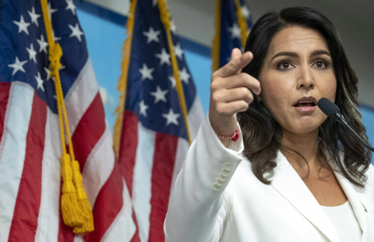 Tulsi Gabbard pede aos democratas que sigam seu exemplo – RT World News