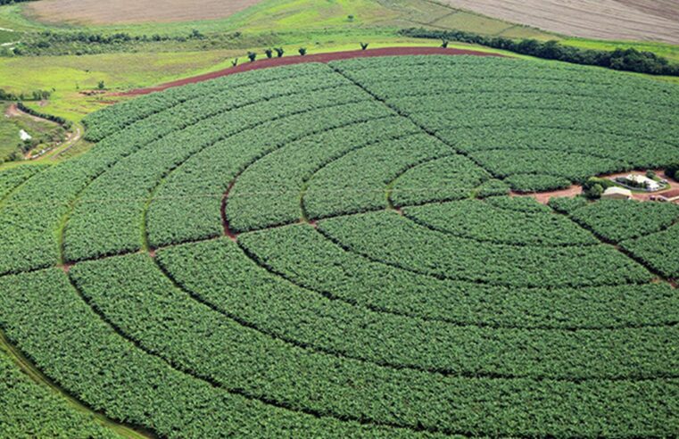 Índice de Confiança do Agronegócio tem melhor resultado trimestral