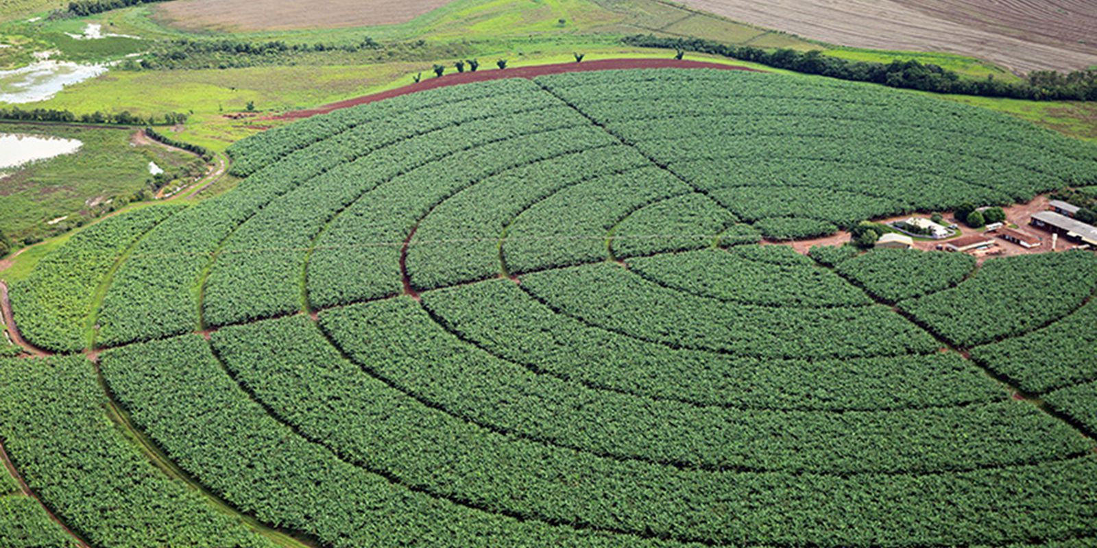 Índice de Confiança do Agronegócio tem melhor resultado trimestral