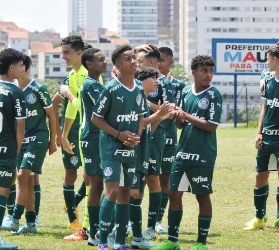 Palmeiras sonha com mais um título para fechar 2022