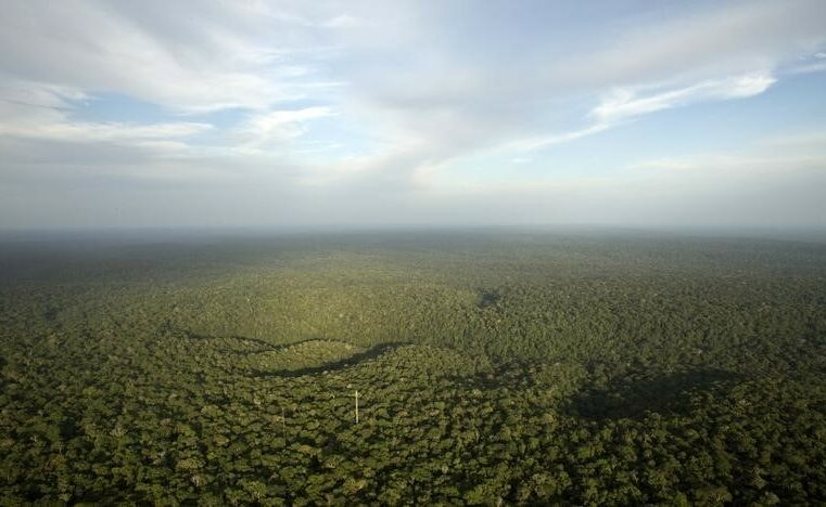 Banco Mundial emprestará US$500 milhões para ajudar Brasil a atingir metas climáticas Por Reuters