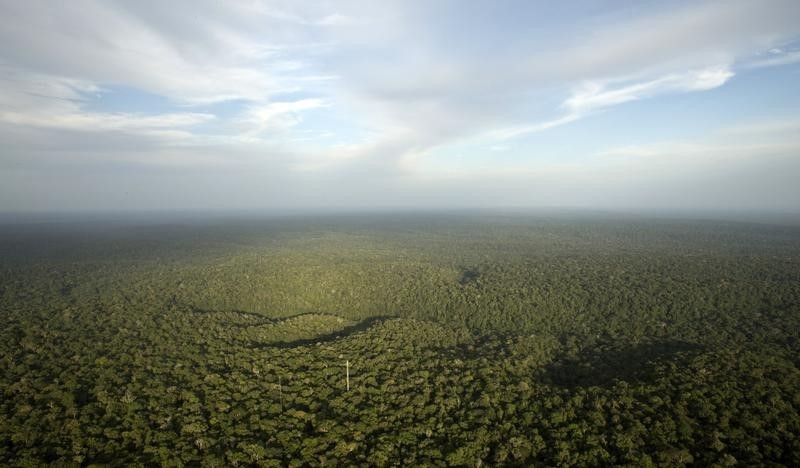 Banco Mundial emprestará US$500 milhões para ajudar Brasil a atingir metas climáticas Por Reuters