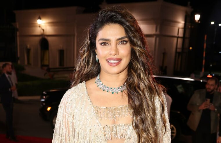 Priyanka Chopra usa um vestido Tony Ward Couture transparente