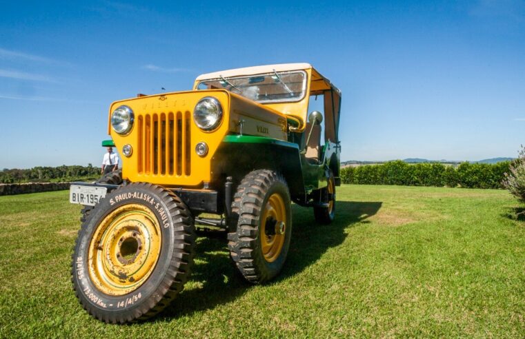 Jeep CJ-3B completa 70 anos;  relembre a história do modelo